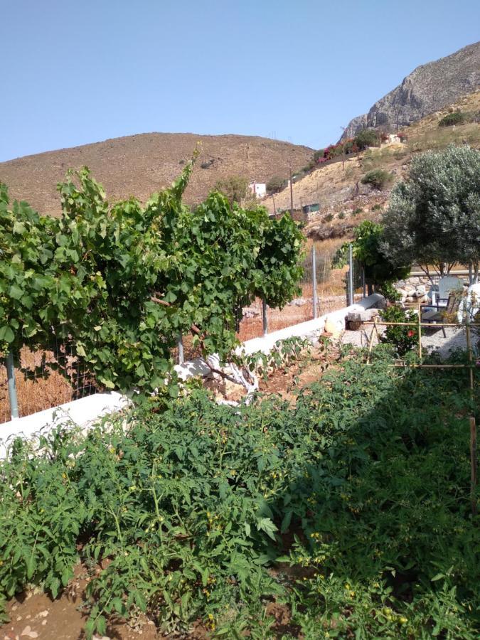 Villa Polymnia Emborios Bagian luar foto
